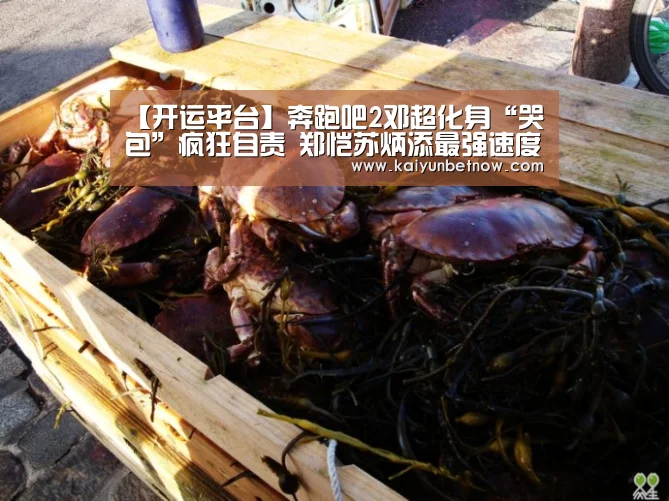 【开运平台】奔跑吧2邓超化身“哭包”疯狂自责 郑恺苏炳添最强速度比拼(图2) 开运平台