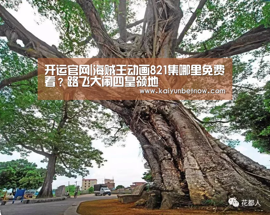 开运官网|海贼王动画821集哪里免费看?路飞大闹四皇领地(图2) 开运官网