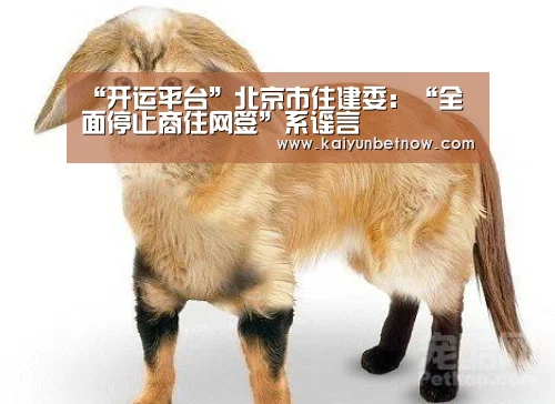 “开运平台”北京市住建委:“全面停止商住网签”系谣言(图3) 开运直播