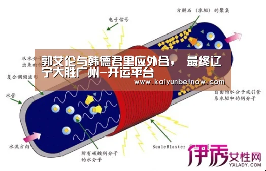 开运娱乐